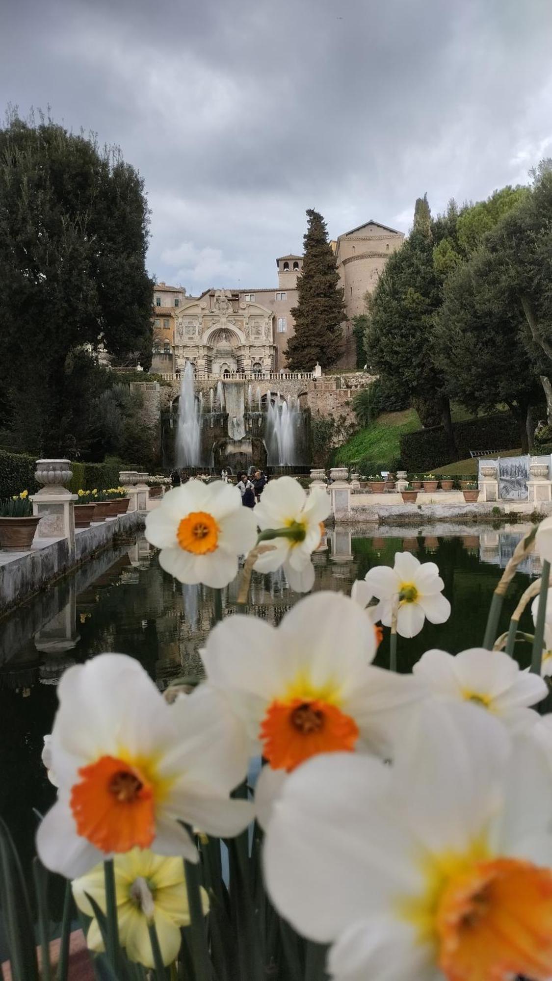 Alf E Ann B&B Tivoli Terme Kültér fotó